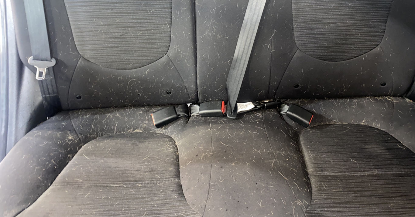 Spotless Auto Detailing - Pet Hair Removal - Before